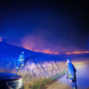 Ватрогасци интервенисали десет пута, највише пожара ниског растиња