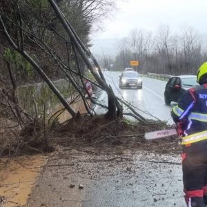 Ватрогасци имали пуне руке посла: Од јутрос чак 13 интервенција, спасили једно лице Ватрогасци имали пуне руке посла: Од јутрос чак 13 интервенција, спасили једно лице