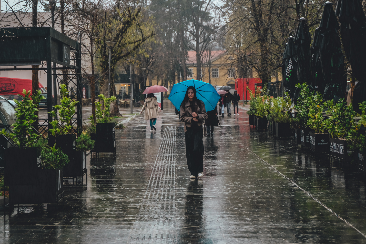  Фото: В. Шевчук