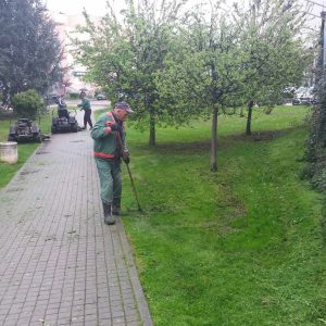 Надлежне екипе на терену: Почело кошење на подручју града
