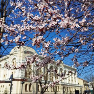 Април у Банском двору: Промоције, концерти и изложбе