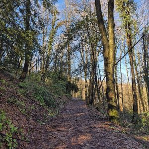 Затворен пролаз за посјетиоце: Почела санација пјешачке стазе према излетишту Трешњик