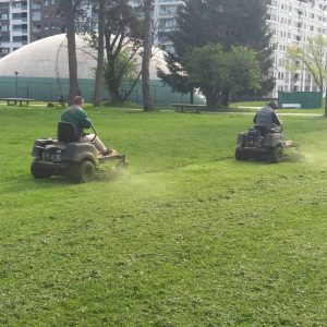 Појачане активности на уређењу зеленила: Настављено кошење и почело попуњавање дрвореда