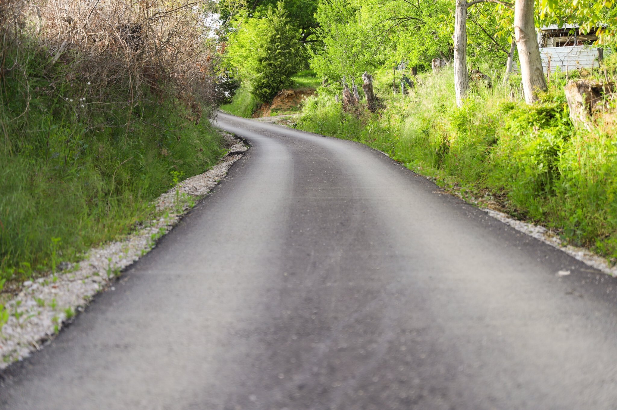  Foto: V. Kresojević